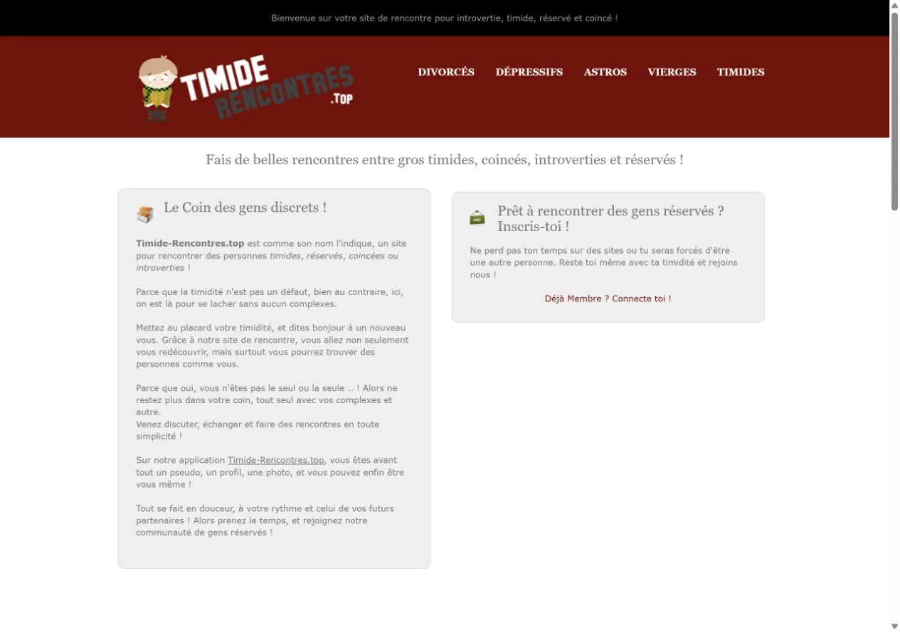 Aperçu de la page d’accueil de timide-rencontres.top